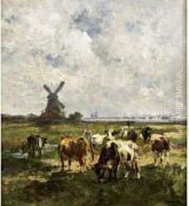 Paysage Des Flandres