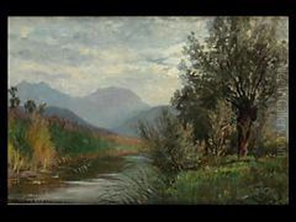 Bei Brannenburg - view 1