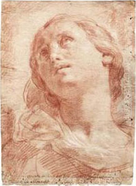 La Vergine Maria - view 1