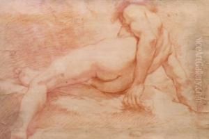 Male Nude