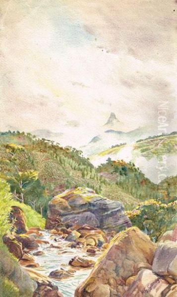 Adam's Peak Ceylon (sri Lanka) From Yartmore Estate - view 1