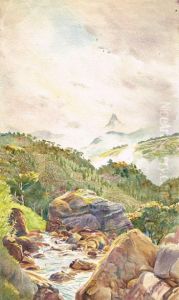 Adam's Peak Ceylon (sri Lanka) From Yartmore Estate