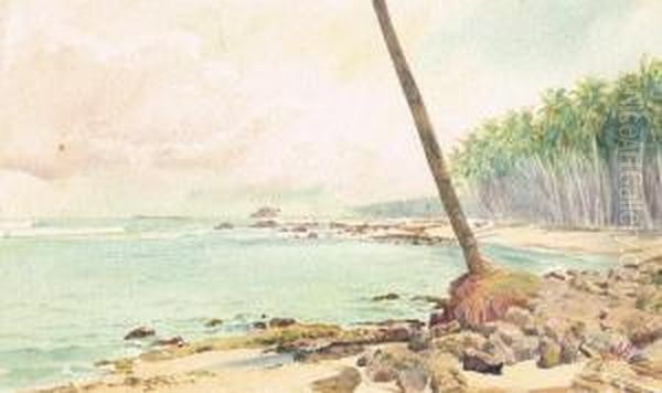 Coastal Scene, Ceylon (sri Lanka) - view 1