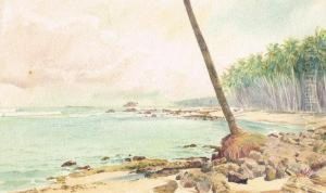Coastal Scene, Ceylon (sri Lanka)