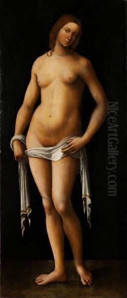 Venus - view 1