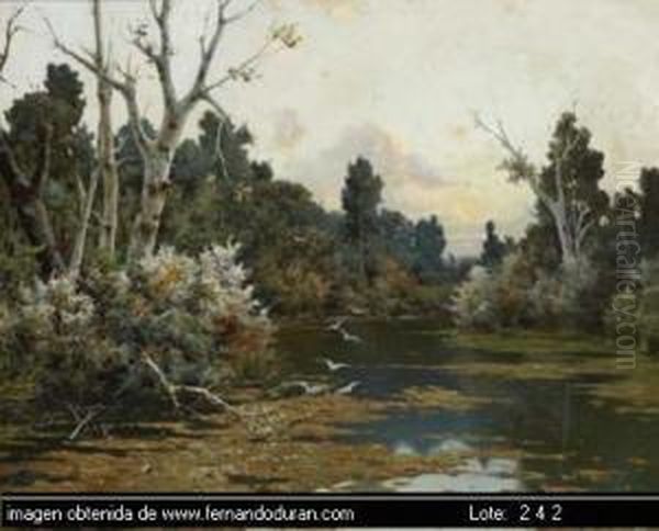 Sin Titulo - view 1