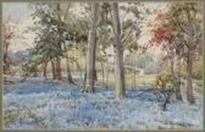 Blue Trees Kew Garden, London by Anna Gardell-Ericson