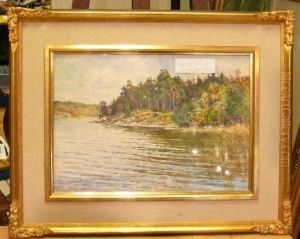 Sjolandskap. by Anna Gardell-Ericson