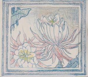 Night Blooming Cereus Night Blooming Cereus