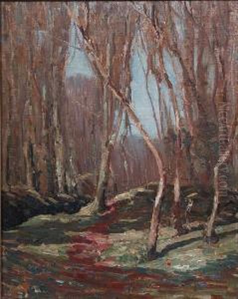 Woodland Scene ````lamorna' - view 1
