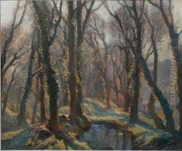 Woodland Scene, Probably Lamorna - view 1