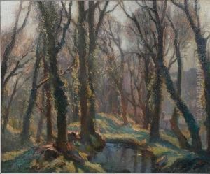 Woodland Scene, Probably Lamorna