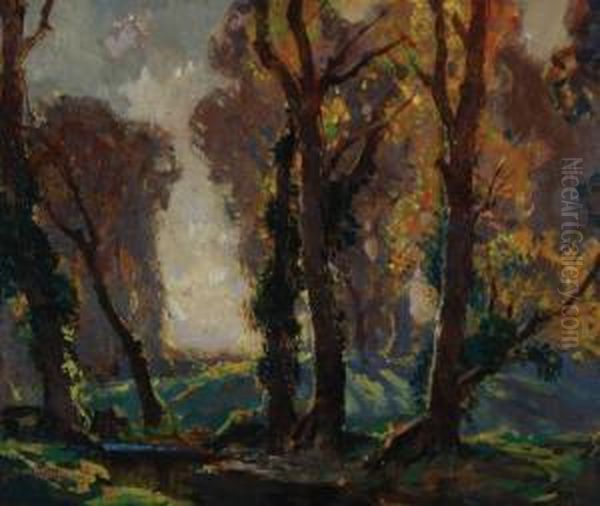 Woodland Scene - view 1