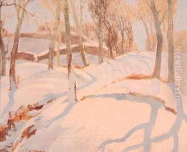 Snow And Sunshine - view 1