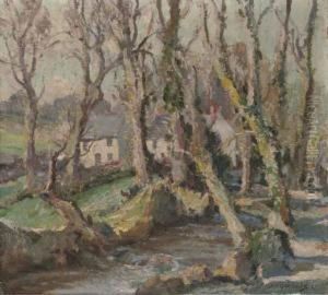 Daffodil Time, Lamorna