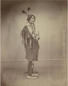 Medicine Bull by Alexander Gardner