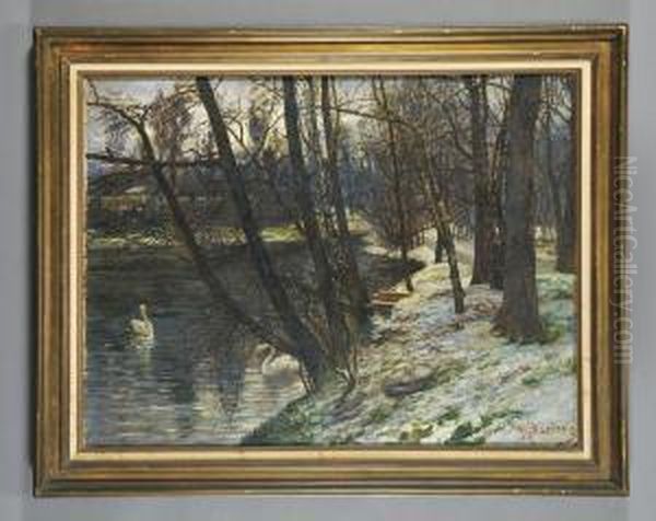 Cigni Olio Cm.96x73 F.to B. Ads - view 1