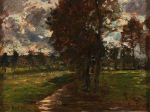 Paesaggio Di Campagna