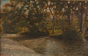 Bosco