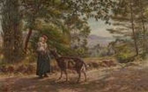 La Sorpresa Dell'incontro