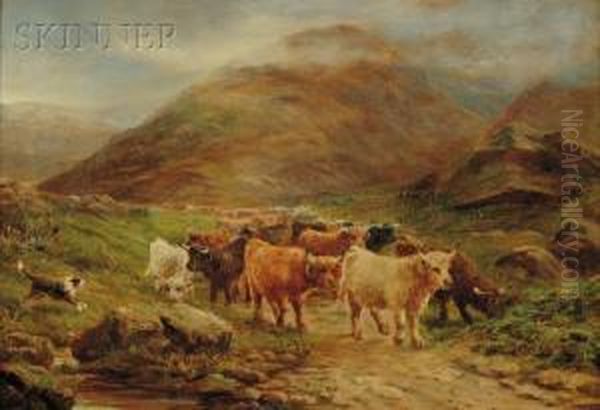 Highland Cattle - view 1