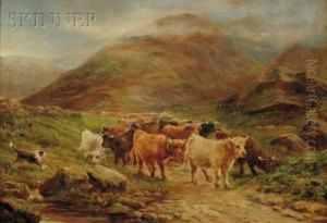 Highland Cattle by Henry Garland