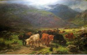 A Highland Drove In A Glen