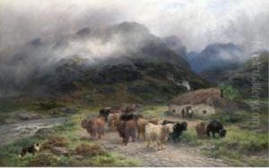 Highlanders Going South Highlanders Going South