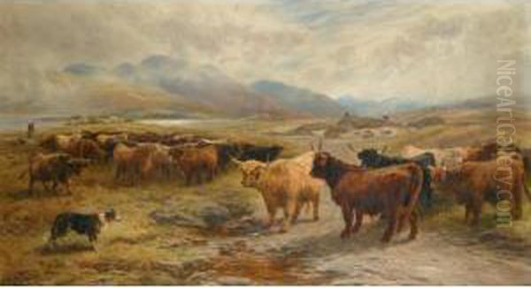 Collecting Cattle In The Highlands - view 1