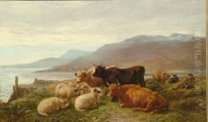 Highland Cattle And Sheep On A Coastal Hillside by Henry Garland
