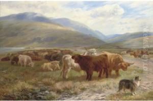 Waiting For The Drovers