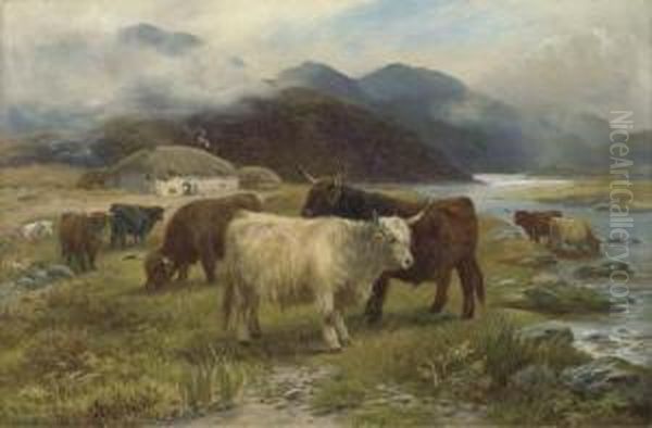 "highlanders" Resting - view 1