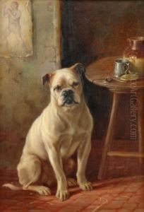 Boxer I Interior. Signerad, Duk, 25x17