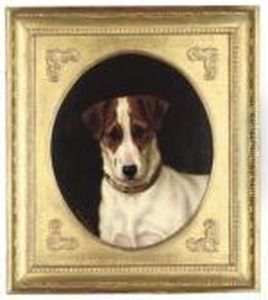The Head Of A Terrier by Valentine Thomas Garland