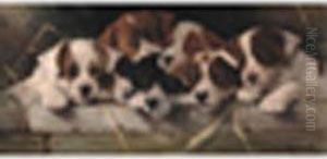 Seven Puppies Seven Puppies