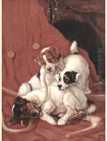 Pups At Play - view 1