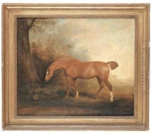 A Chesnut In A Landscape