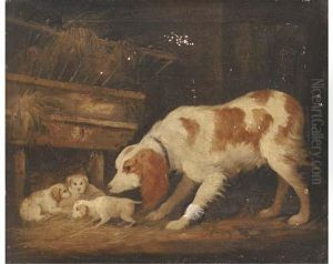 A Spaniel With Her Pups In A Barn