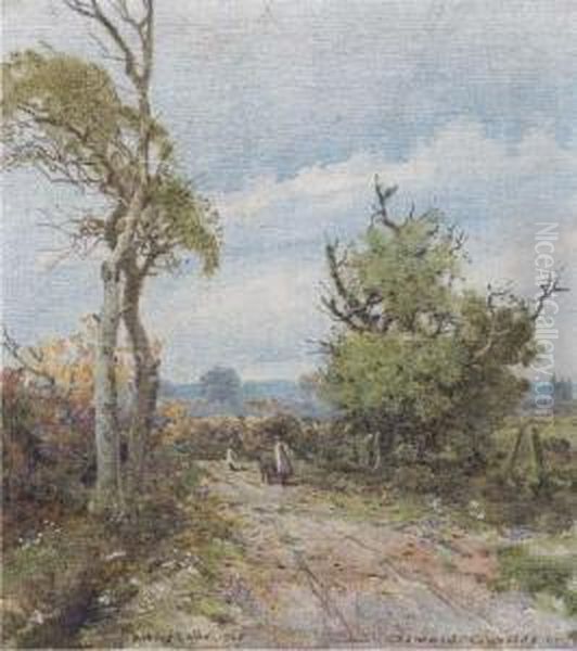 Ackles Lane - view 1