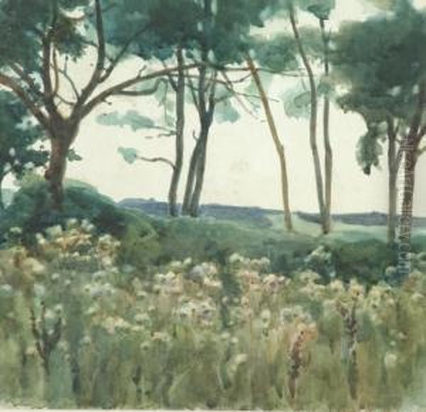 Landscape Of Wild Flowers - view 1