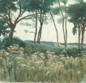 Landscape Of Wild Flowers