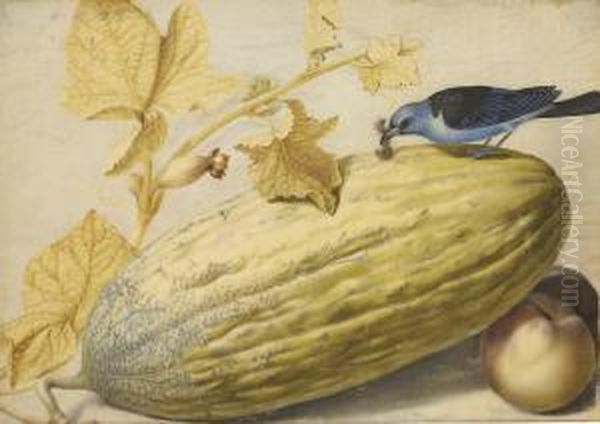 Still Life With A Bird Eating A Caterpillar, A Gourd, And Twopeaches - view 1