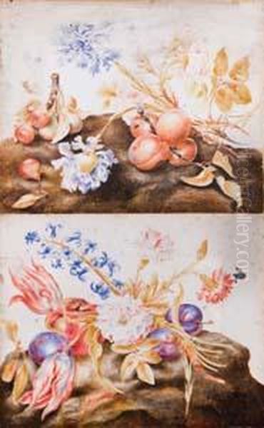A) Albicocche, Pere E Fiori Su Una Superfice Terrosa - view 1
