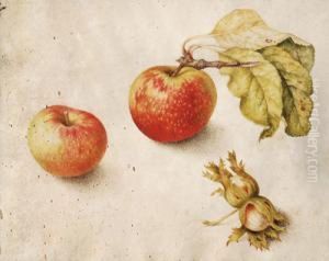 Natura Morta Con Mele E Noci by Giovanna Garzoni