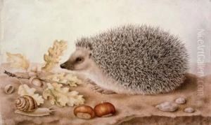 A Hedgehog In A Landscape
