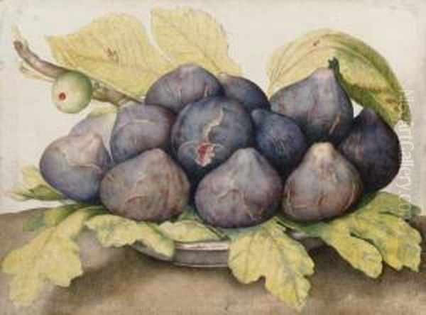A Plate Of Figs - view 1