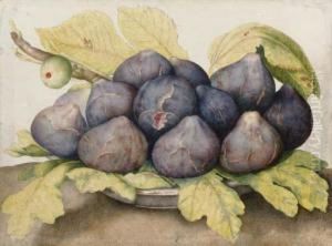 A Plate Of Figs by Giovanna Garzoni