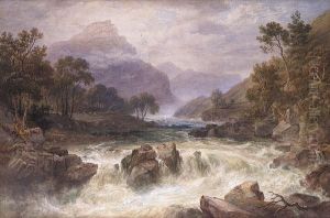 Falls Of The Tummel, Perthshire