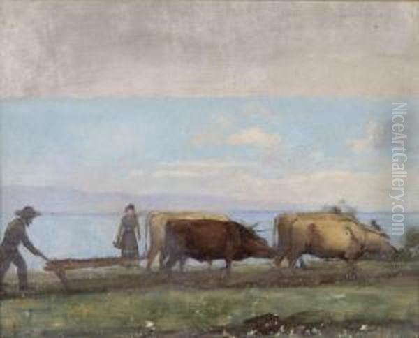 Bauer Mit Ochsengespann Beim Pflugen - view 1