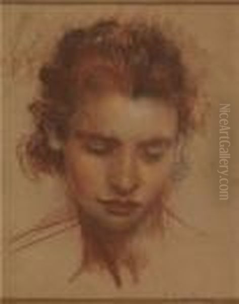 La Figlia Di Pietro Gaudenzi - view 1